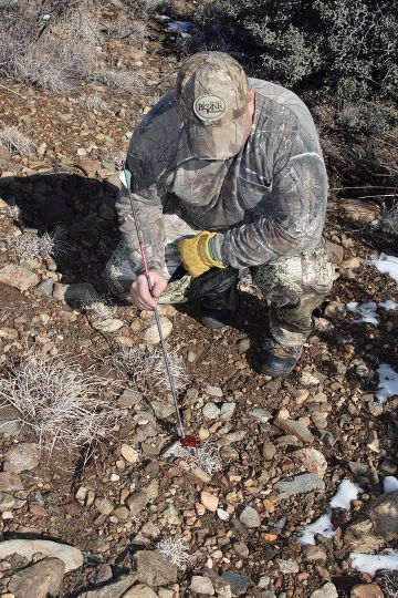 Snow often makes it easier to find javelina, but they prefer the warm hillsides. A good blood trail will even show up in the mud.